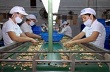 Cơ hội và thách thức khi tham gia Hiệp định TPP